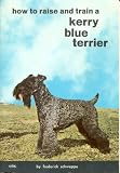 How To Raise and Train a Kerry Blue Terrier