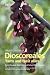 Book World Checklist of Dioscorales (World Checklist)