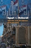 Egypt after Mubarak: Liberalism, Islam, and Democracy in the Arab World (Princeton Studies in Muslim Politics)