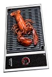 Kenyon B70061 Frontier All Seasons 220V No Lid Built In Electric Grill