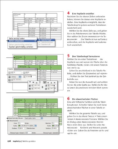Adobe InDesign CS4: Die Workshops für Einsteiger (Galileo Design)