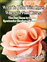 What To Plant With Roses And Where To Plant Roses To Create A Beautiful Rose Garden