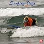 Surfing Dogs 2011 Square 12X12 Wall Calendar (Multilingual Edition)