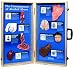 3B Scientific W43053 The Consequences of Alcohol Abuse 3D Display, 27" Length x 28" Width Opened