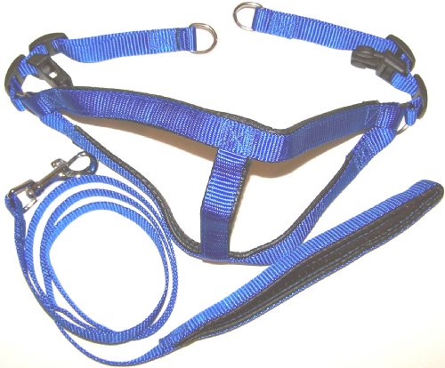 Padded Step-In Dog Harness & Leash Set Size Medium 17