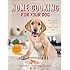 Home Cooking for Your Dog: 75 Holistic Recipes for a Healthier Dog