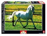 Educa - 11735 - Puzzle Adulte 500 pi�ces - Cheval Blanc