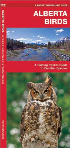 alberta birds a folding pocket guide to familiar species pocket naturalist guide series