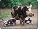 MOTHER & BABY PIGS Mouse Mat