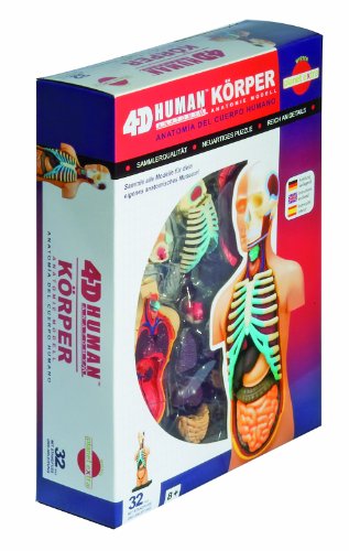 Unbekannt Fame Master 556051 - Anatomie Puzzle K&ouml;rper