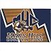 Milliken 51528-200 Collegiate Mars Hill College Lions Rug Size: 3'10