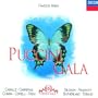 Puccini Gala: Famous Arias / Caball�, Carreras, et al