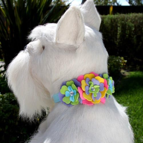 Fantasy Flower Collar by Susan Lanci Designs - Kiwi XSmall (7-8.5")