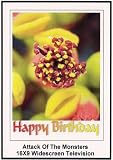 Attack of the Monsters: 16x9 Widescreen TV.: Greeting Card: Happy Birthday