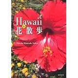 Hawaii de �ԎU��Hiroshi Makaula Nakae�ɂ��