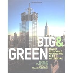 Big and Green: toward Sustainable Architecture in the 21st Century