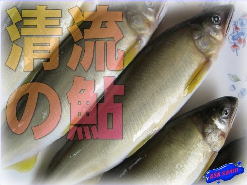 美味です!!「清流の鮎1kg」-特大サイズ10匹入り