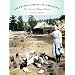Amazing Girls of Arizona: True Stories of Young Pioneers