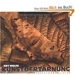 Kunst der Tarnung