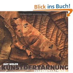Kunst der Tarnung