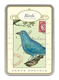 Cavallini Birds Carte Postale, 18 Postcards per Tin