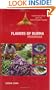 Flavors of Burma: Myanmar : Cuisine and Culture from the Land of Golden Pagodas