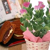������̵������Ϸ�������եȡۥȥ륳�����祦(�ԥ�)ȭ���ȹ��ɤ�Ƥ��Υ��åȡڤ��Ϥ�9/17��9/20��