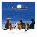 Cats Tales Cats and Kittens Luxury Christmas Cards Pack