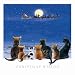 Cats Tales Cats and Kittens Luxury Christmas Cards Pack