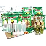 Beachcombers! Salon Professional Henna Tattoo Body Art Kit Start Your Own Henna Business
