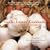 The Garlic Lovers' Cookbook: v. 1