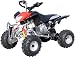 ATV 250cc Water-Cooled 4004