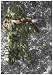Rothco Lightweight All Purpose Paintball Ghillie M/L