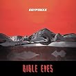 Bible Eyes