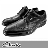 1月7日以降発送【SALE 30％OFF】●Clarks Dry In GTX【クラークス】724C ドライインGTX ウイングチップ メンズ【106KLKL-13hnnd】【ビジネスシューズ 紳士靴】男性用 Men's シュ－ズ【24cm】【24.5cm】【25cm】【25.5cm】【26.5cm】【27cm】【27.5cm】