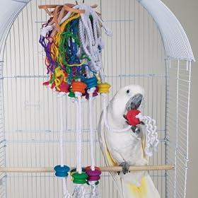 Bird Toy - Wild Series - Berserk Challenge Toy - Great Toy for Medium to Large Birds by Brainy Bird