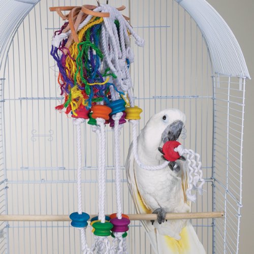 Bird Toy – Wild Series – Berserk Challenge Toy – Great Toy for Medium to Large Birds