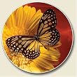 Butterfly Auto Coaster, Single Coaster for Your Car