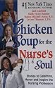 Chicken Soup for the Nurse's Soul, Stories to Celebrate, Honor and Inspire the Nursing Profession
