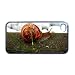 Snail Apple iPhone 4 or 4s Case / Cover Verizon or At&T Phone Great Gift Idea