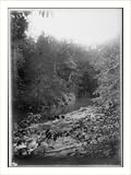 Historic Print (L): [Poorly exposed view of stream, Lexington, Va.]