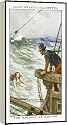 MERMAID OF ZENNOR from Mary Evans