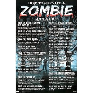 How To Survive a Zombie Attack Poster Print