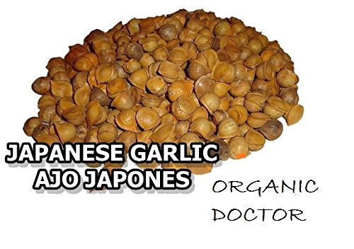 Japanese Garlic//Ajo Japones (100% Natural!!) Choose your count per: (60-130-150-250-400) (150) Japanese Garlic//Ajo Japones (100% Natural!!) Choose your count per: (60-130-150-250-400) (150)