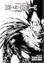 Death Note, Vol. 1 (Collector's Edition) (v. 1)
