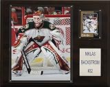 NHL Niklas Backstrom Minnesota Wild Player Plaque
