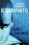 Il labirinto (Teens international)