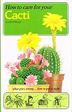 How to care for your cacti