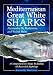 Mediterranean Great White Sharks: A Comprehensive Study Including All Recorded Sightings