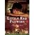Little Red Flowers [DVD] [2007]